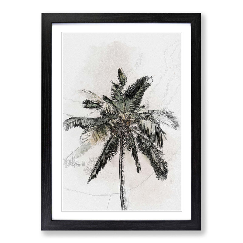 Cuban Palm Tree in Abstract - Picture Frame Graphic Art Print, 48cm H x 36cm W x 2cm D, Black Framed