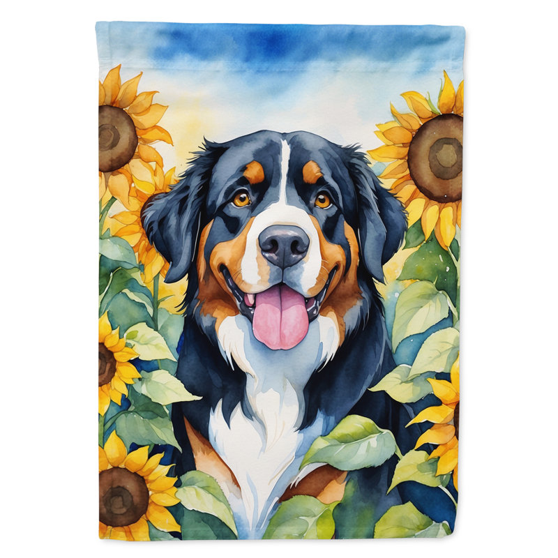 Drapeau de la maison du tournesol Malamute d'Alaska, Bouvier bernois