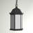 Sevier One Light Outdoor Pendant from Generation Lighting -1049303608-1059969583
