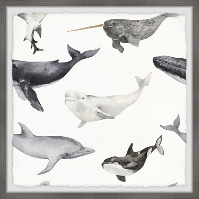 Dolphins And Whales - Single Picture Frame Print