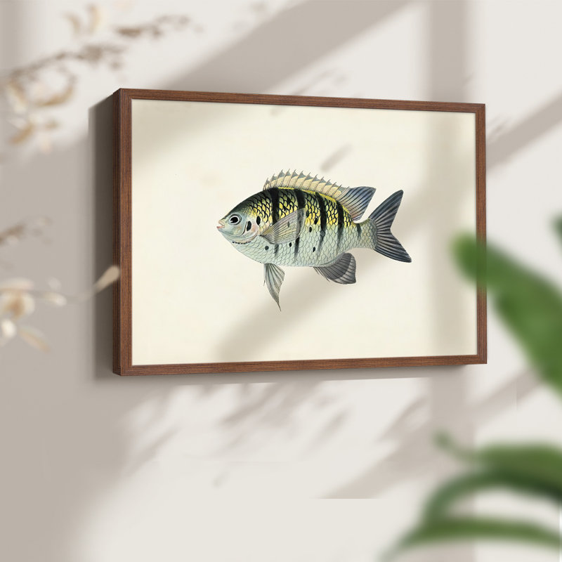 Tropical Fish Collection VI -Framed Print - Restickable, H 8 po x l 10 po, Noyer