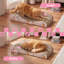 Grattoir pour chat Elmajian-1152484681
