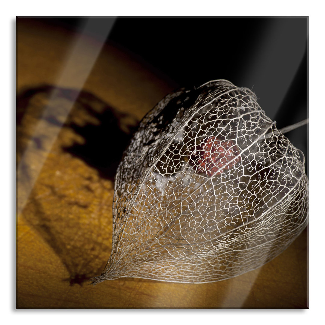 Glasbild Schatten einer Physalis