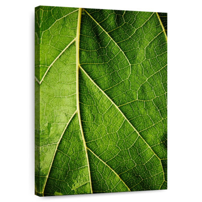 Harnek Green Leaf Details
