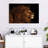 Brampt Marvelous Lion Head-108689719