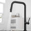 Robinet de cuisine VIBRANTBATH-92888604