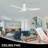 Edilberto 52'' Ceiling Fan with Lights-2003578982