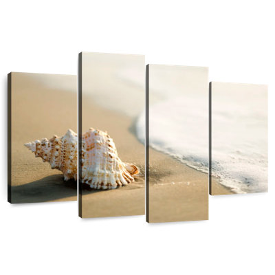 Aletra Shell On The Beach