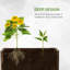 Wood Planter Box-1935799747