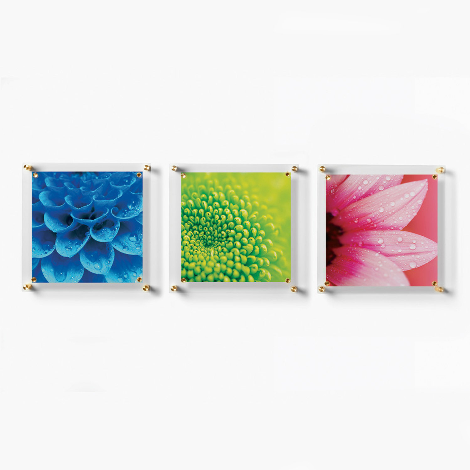 Trio 12" x 12" Picture Frame, Gold/Clear