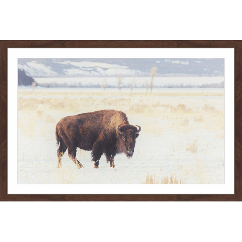 Parvez Taj - Single Picture Frame Print, 41cm H x 61cm W x 3.81cm D