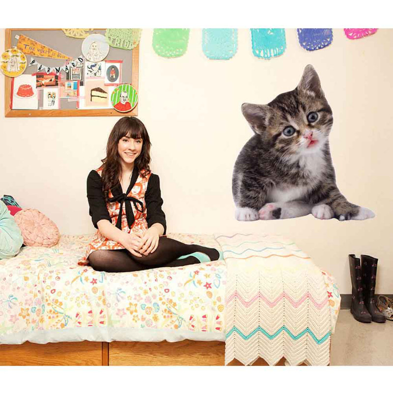 Adhésif décoratif chat II, H 24 po x l 22 po