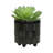 S/2 6/8" Textured Planters Flower Pot-253027067