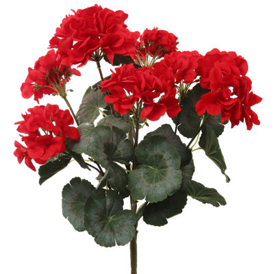 Arrangement de géranium
