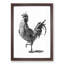 A Cock in Black and White by Johan Teyler - Framed Print-55457858-55457864