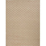 Geometric Area Rug in Brown