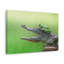 No Frame Print on Canvas-543485623