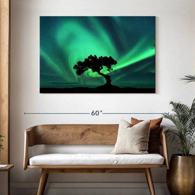 Silhouette d'arbre Alvord Northern Lights