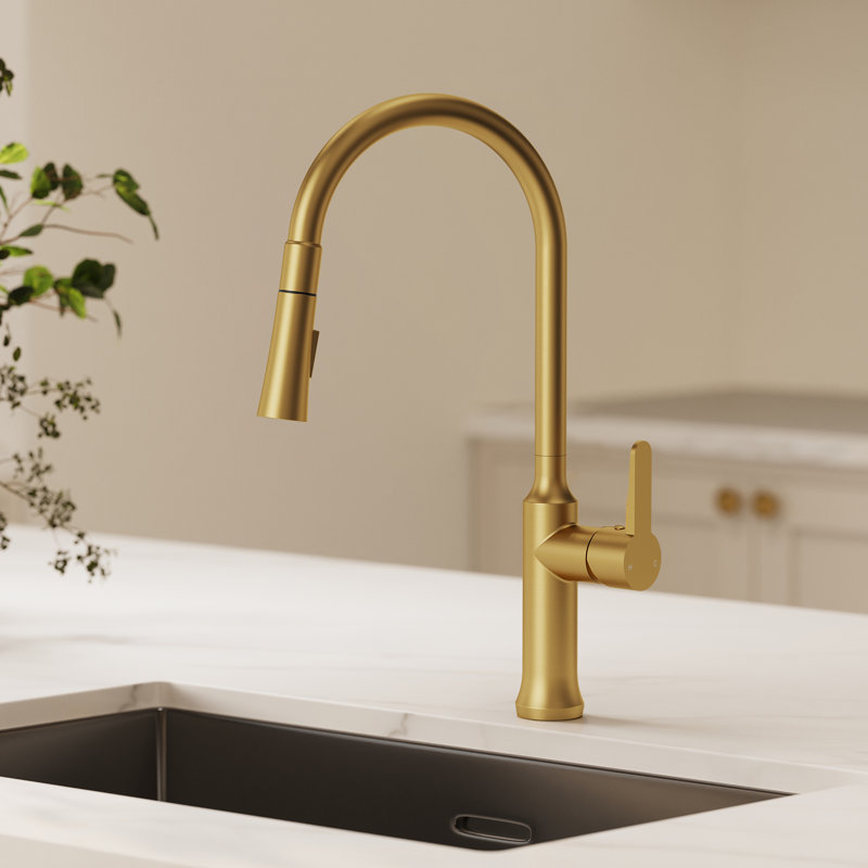 Robinet de cuisine rétractable avec douchette à double fonction, robinet d'évier à poignée simple, Or brossé