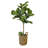 30'' Faux Fiddle Leaf Fig Tree in Glass Basket
