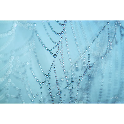 Nature's Jewels I