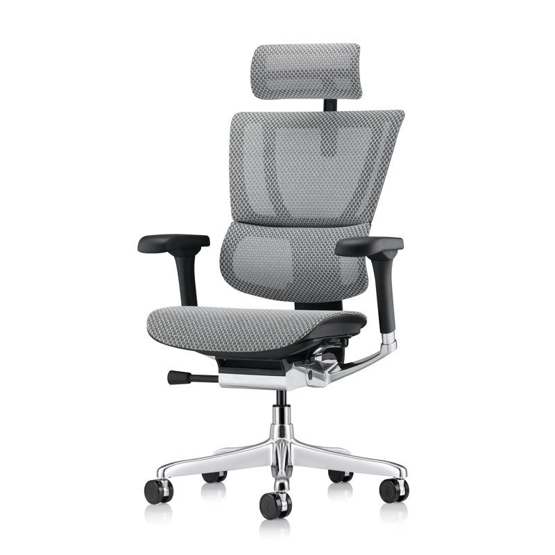 Ergohuman ME2ERG-XTREME High Back Mesh Office Chair, Gray