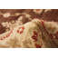 Tapis de zone en laine brun/beige 4 pi 2 po x 5 pi 10 po one-of-a-kind à la main noué la 2010 chobi Adric