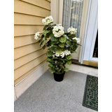 Faux géranium 31 po dans un pot de 7 po avec mousse