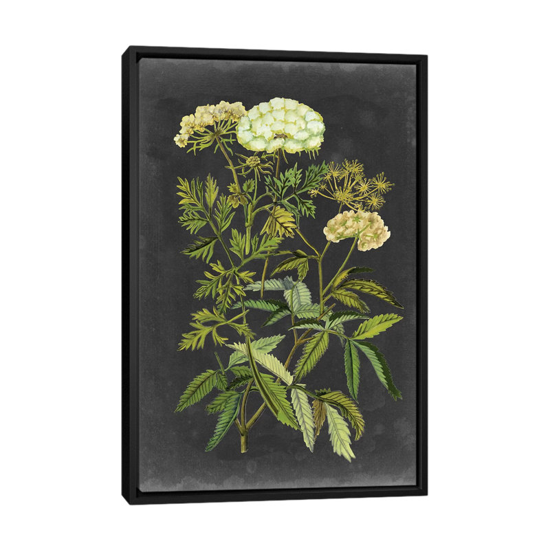 « bookplate floral i », impression sur toile, H 26 po x l 18 po x P 1,5 po, Toile avec cadre noir, Pas de tapis