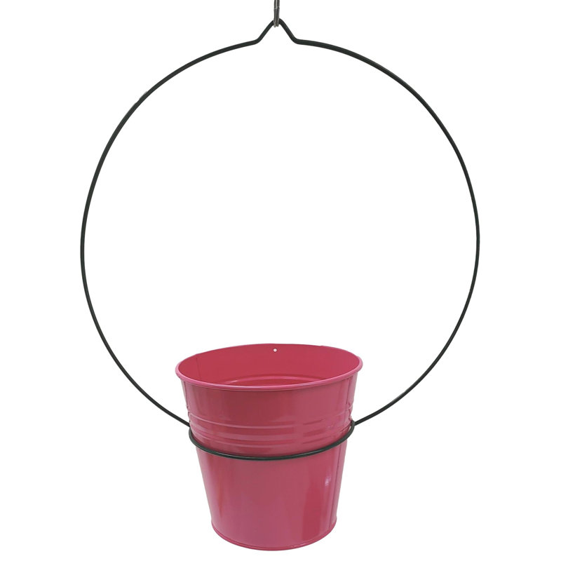 Caulksville Metal Hanging Planter, Pink