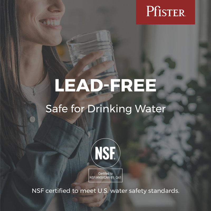 Pfirst Series 2-Handle Kitchen Faucet in Stainless Steel, Stainless Steel