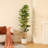 Adcock  Artificial Fiddle Leaf Fig Tree with Realistic Leaves and Natural Trunk, Potted Tree-212896210