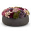 Ariane Sedum Arrangement-907699577
