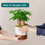 FLHPOT Ceramic Pot Planter-332050592