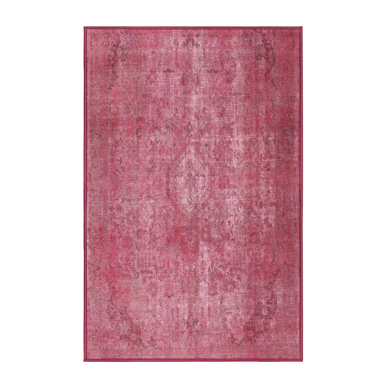 Tapis traditionnel lavable à la machine Ahmyra, Rectangle 3 pi x 5 pi