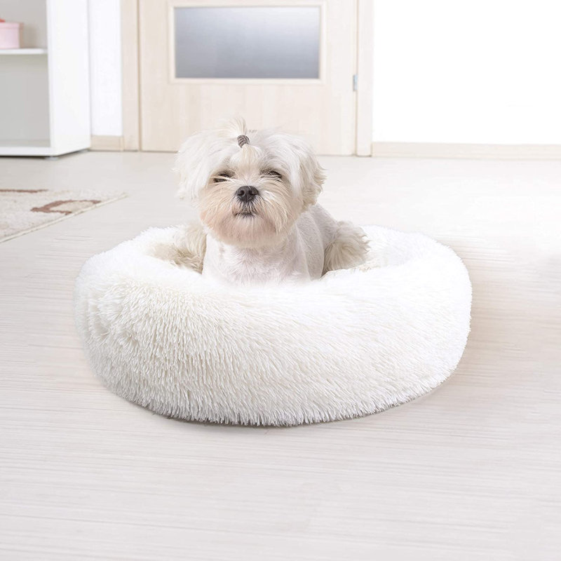 Tapis pour chien doux et rond, H 6 po x l 23 po x P 23 po, Blanc