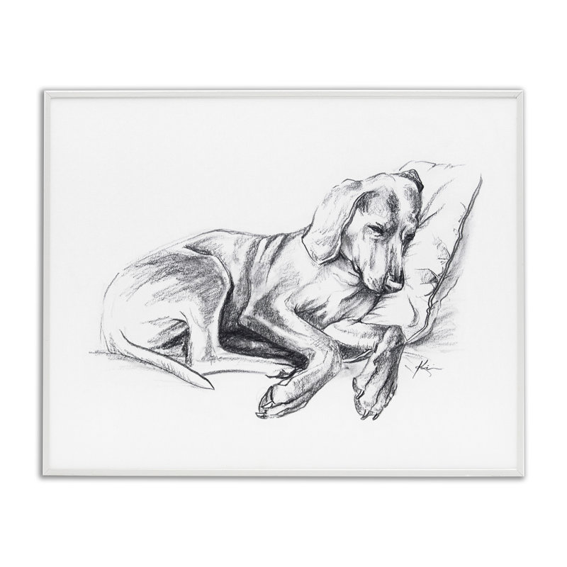 Napping Dog Drawing Giclee Art by Lindsay Kivi Fine Art, Coastal White Framed Giclee, 24" H x 30" W