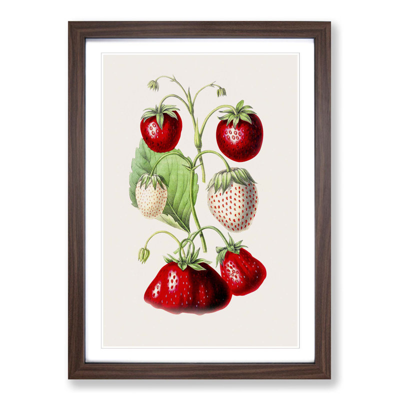 An Illustration Of Strawberries - Single Picture Frame Painting, 33cm H x 24cm W x 2cm D, Walnut Single Picture Frame Paper