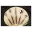 BIA Cordon Bleu Conty 5 Piece 18/10 Stainless Steel Flatware Set, Service for 1-70483632