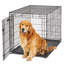 Cage pour chien MidWest Homes for Pet-311800493