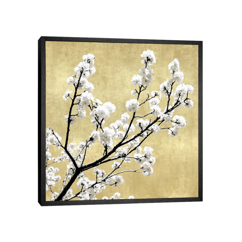 Blossoms On Gold II by Kate Bennett - Print on Canvas, 93.98cm H x 93.98cm W x 3.81cm D, Black Framed