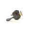 Camelot Passage Door Lever-17727321