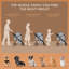 Foldable Pet Vehicle Travel Carrier-1225364161