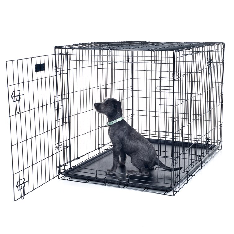 Crates are Forever - Not Just for Puppies – American Kennel Club