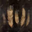 Plumes brunes - Reproduction matte encadrée pour la chambre à coucher-265321956-265321963