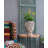 Statue Planter