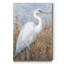 « White Heron I », reproduction d’art sur toile tendue-1066576019