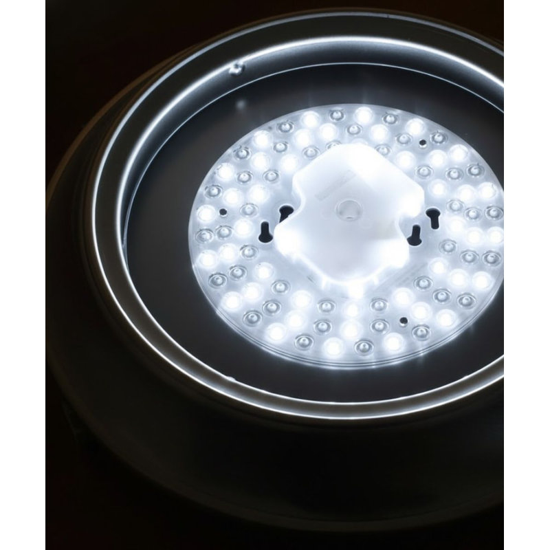 13"w 1-Light LED Flush Mount Ceiling Light Brushed Nickel Finish by RP Lighting