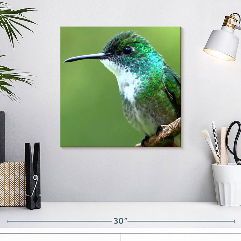 Colibri de Bramh