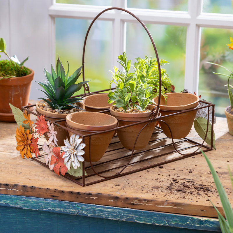 Metal Planter Stand with Terracotta Planters